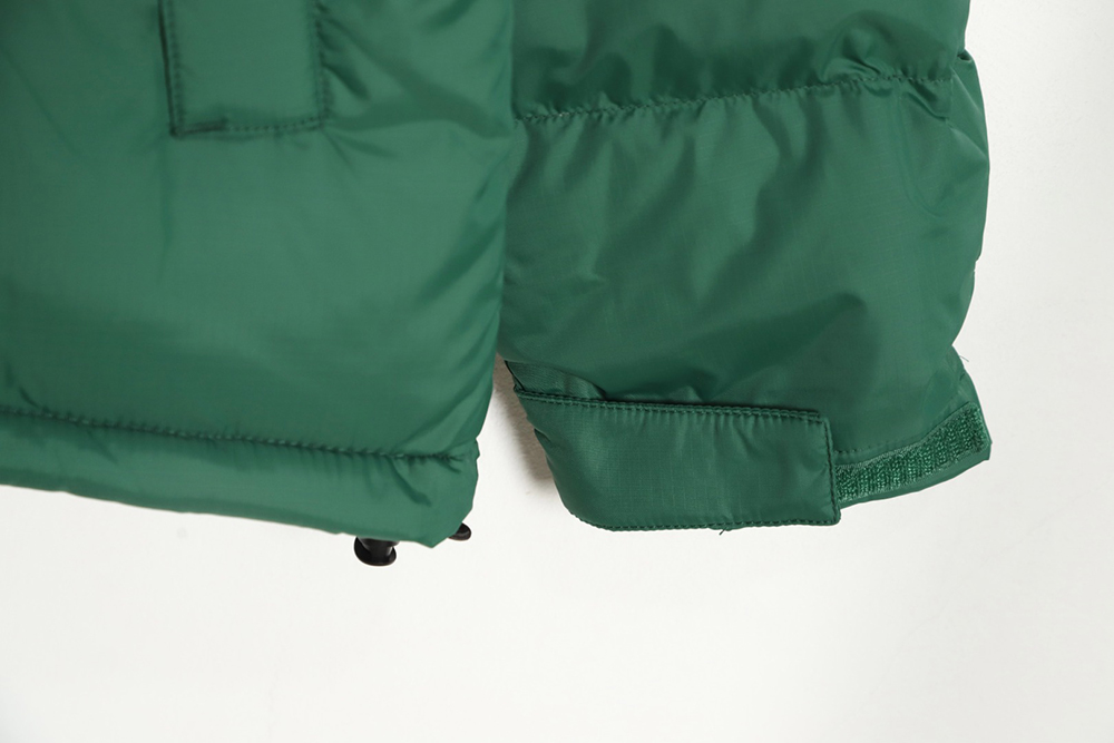 the nor*h F**e 1996 nuptse classic down jacket