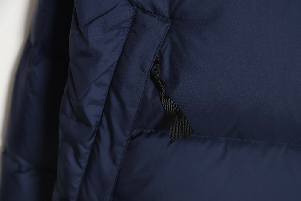the nor*h F**e 1996 nuptse classic down jacket