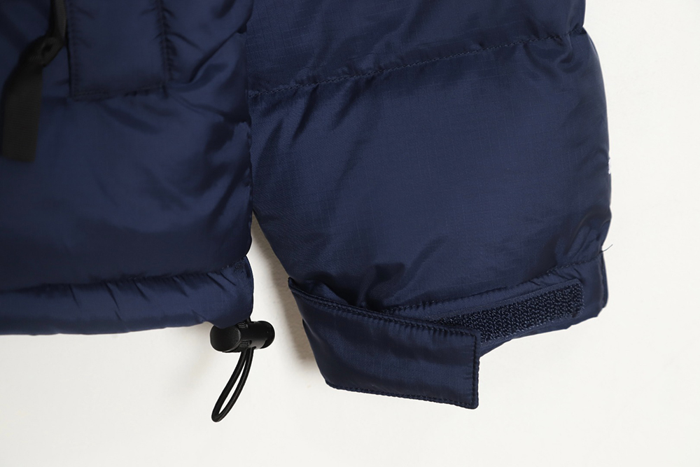 the nor*h F**e 1996 nuptse classic down jacket