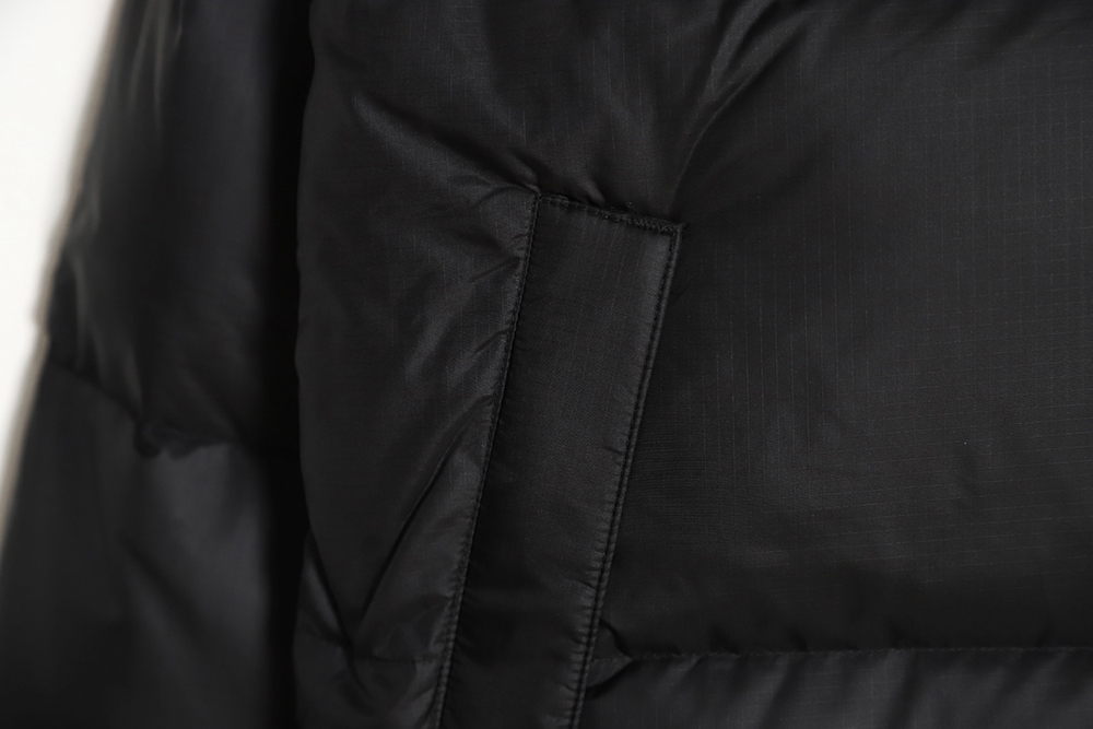 the nor*h F**e 1996 nuptse classic down jacket