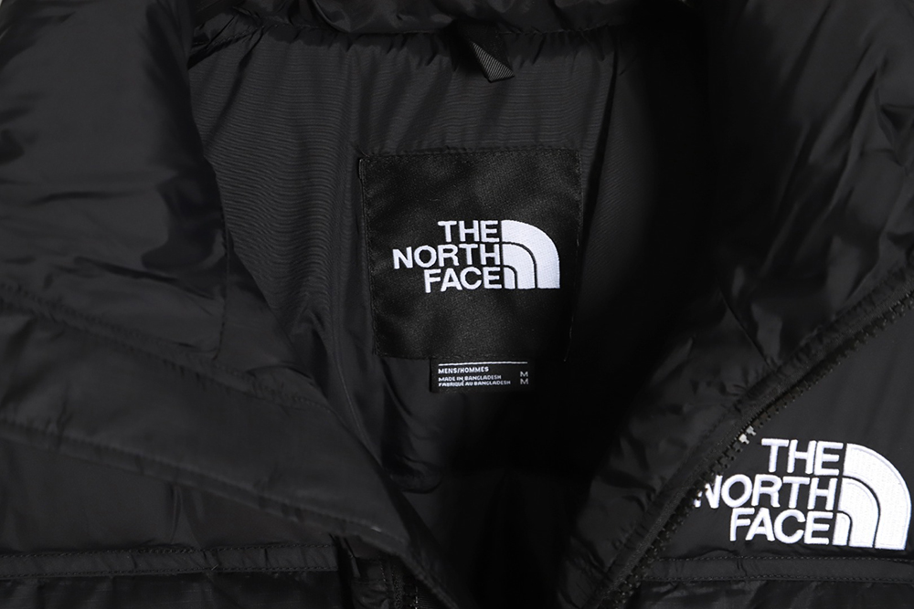 the nor*h F**e 1996 nuptse classic down jacket