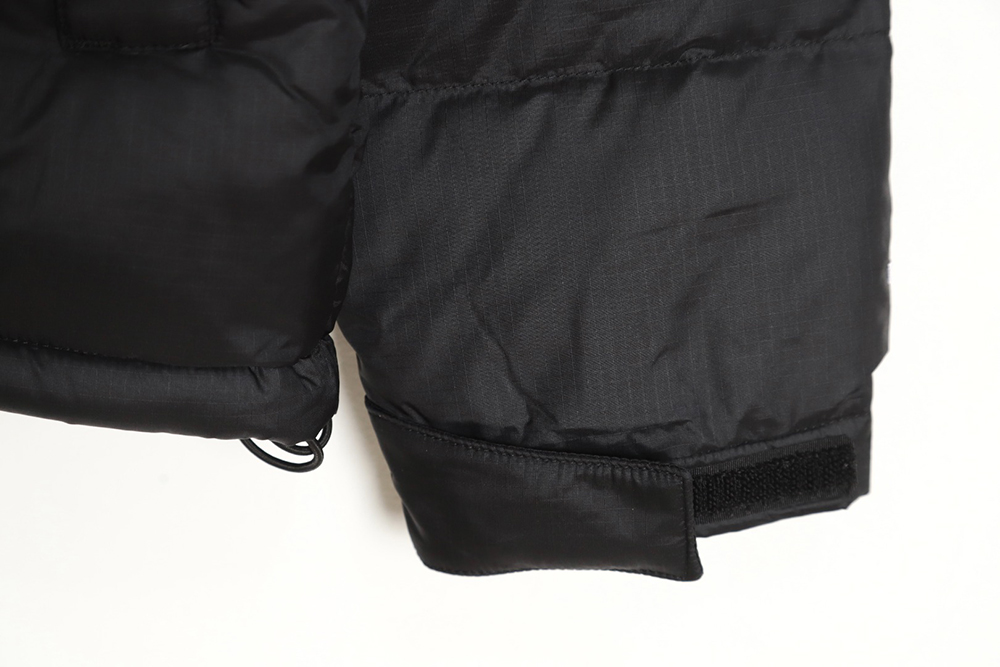 the nor*h F**e 1996 nuptse classic down jacket