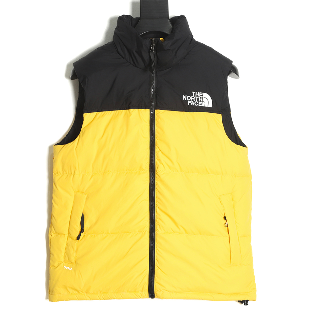the nor*h F**e 1996 classic down vest