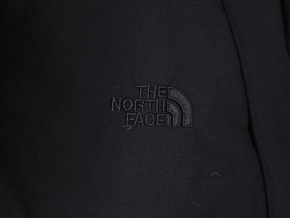 the nor*h F**e 23fw purple label stand collar down jacket