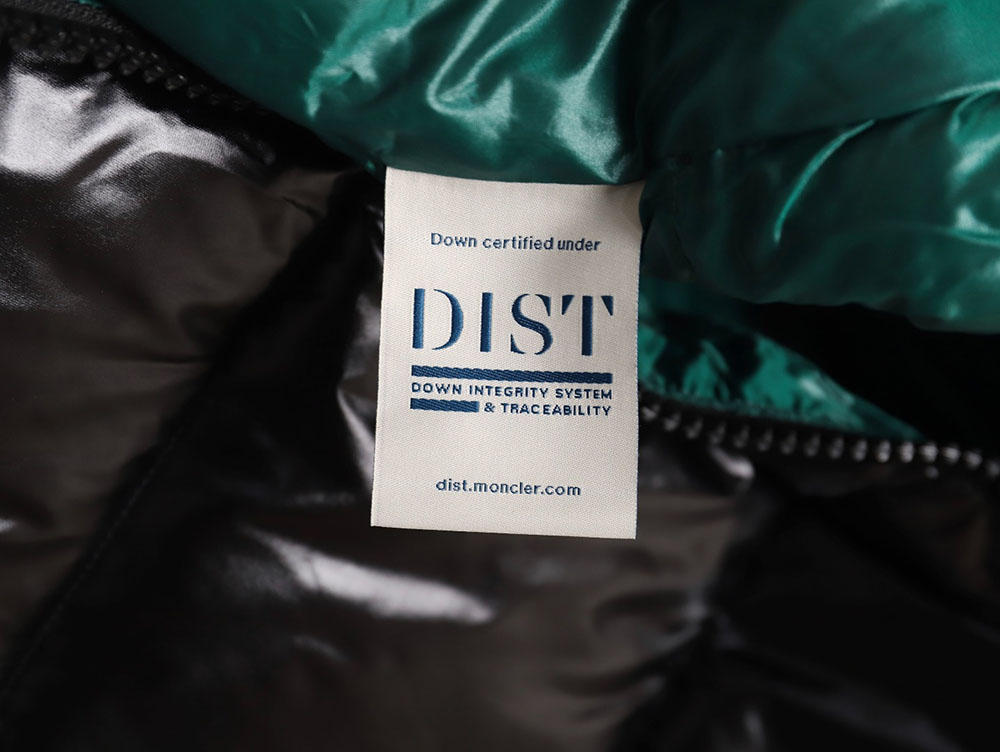 Moncler MAYA long down jacket