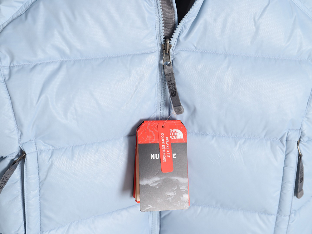 the nor*h F**e limited vintage nuptse 1990`s retro down jacket