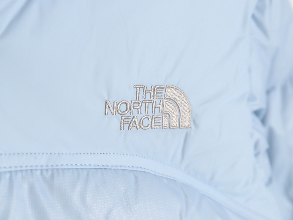 the nor*h F**e limited vintage nuptse 1990`s retro down jacket