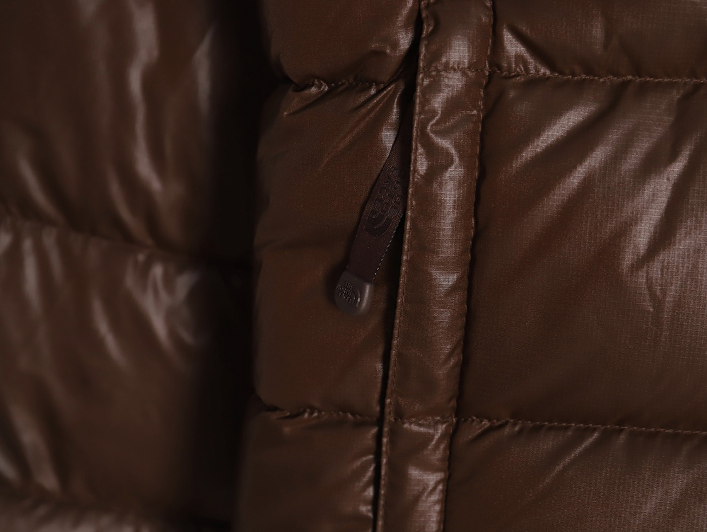 the nor*h F**e limited vintage nuptse 1990`s retro down jacket