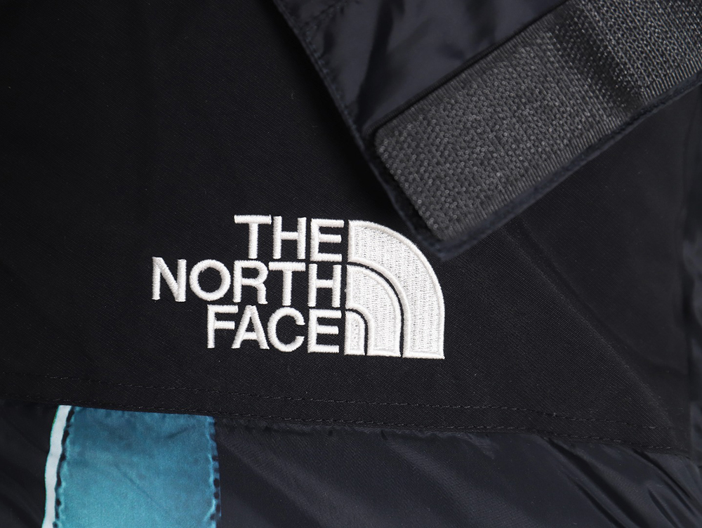 the nor*h f**e x S*p*e joint statue of liberty down jacket