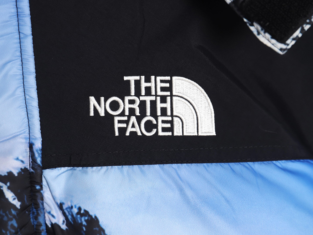 the nor*h f**e x S*p*e 17fw snow mountain down jacket