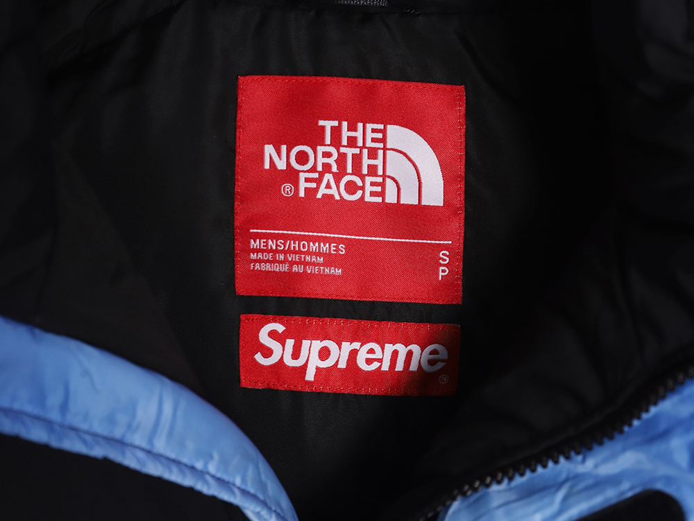 the nor*h f**e x S*p*e 17fw snow mountain down jacket