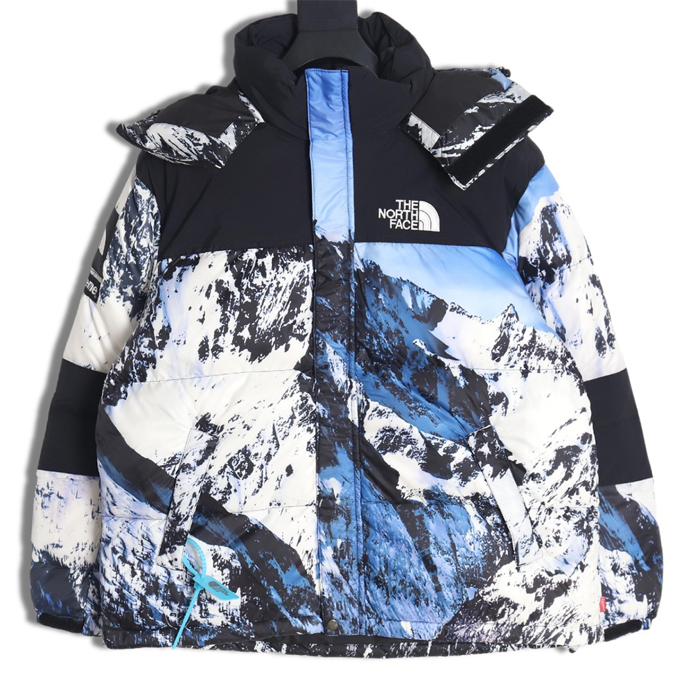 the nor*h f**e x S*p*e 17fw snow mountain down jacket