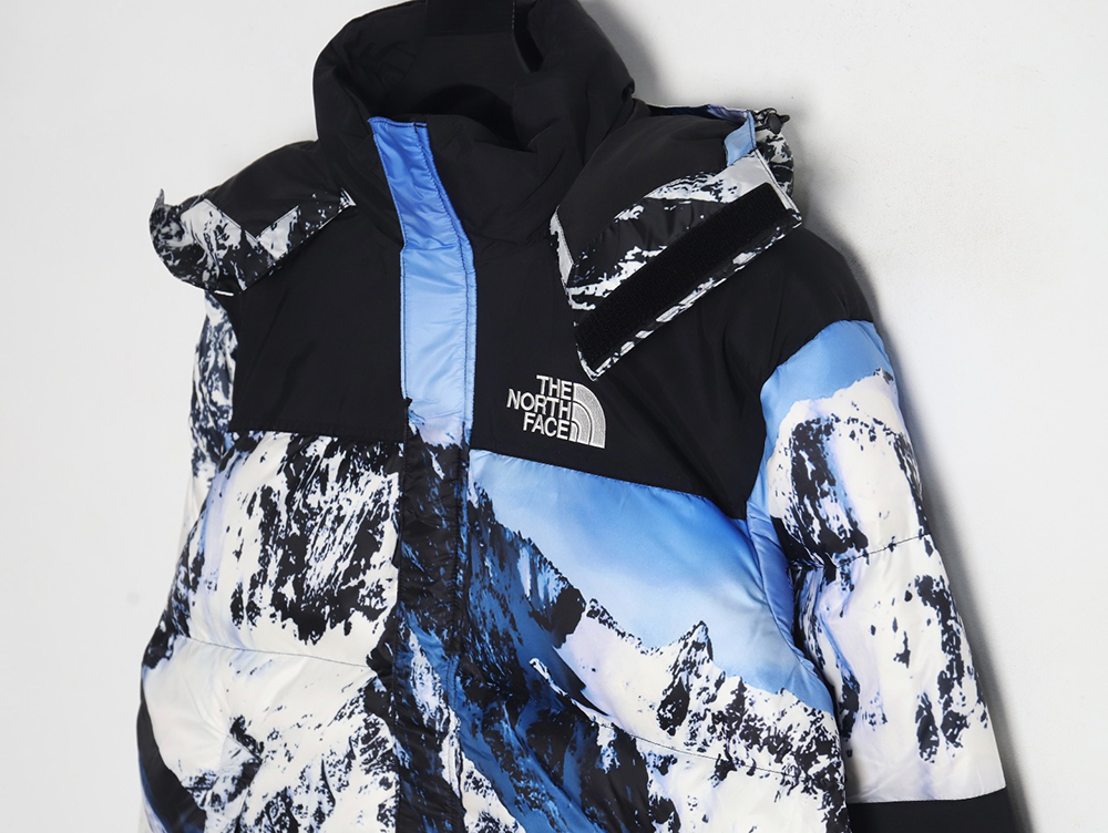 the nor*h f**e x S*p*e 17fw snow mountain down jacket