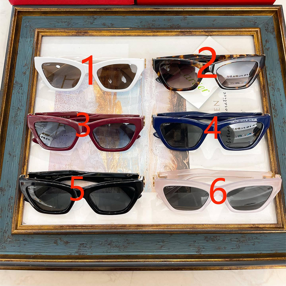 Ca*t*er eyeglasses ct0437s