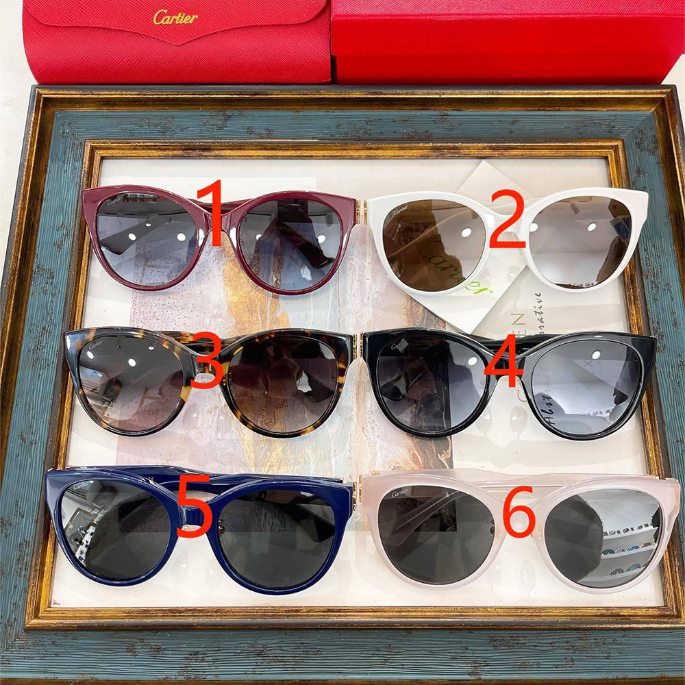 Ca*t*er eyeglasses ct0438sa