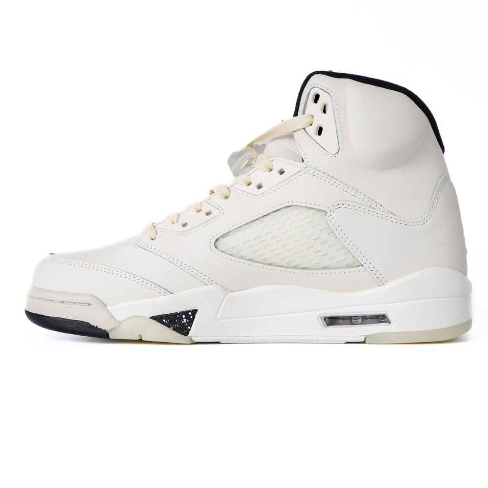 Air Jordan 5 Retro SE