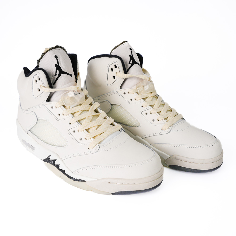 Air Jordan 5 Retro SE