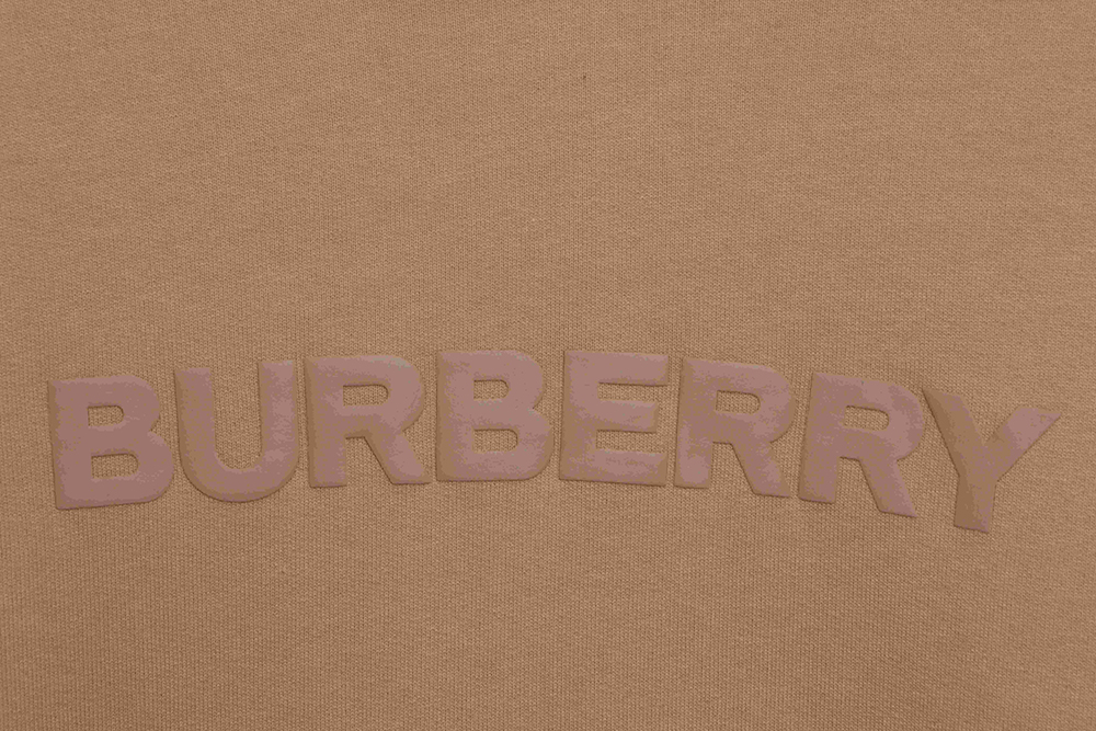 B**rry bas*ic*s logo lettering hoodie