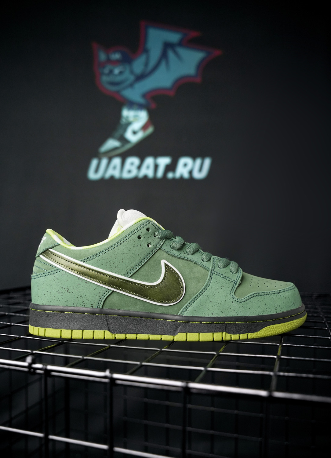 CONCEPTS X DUNK LOW SB