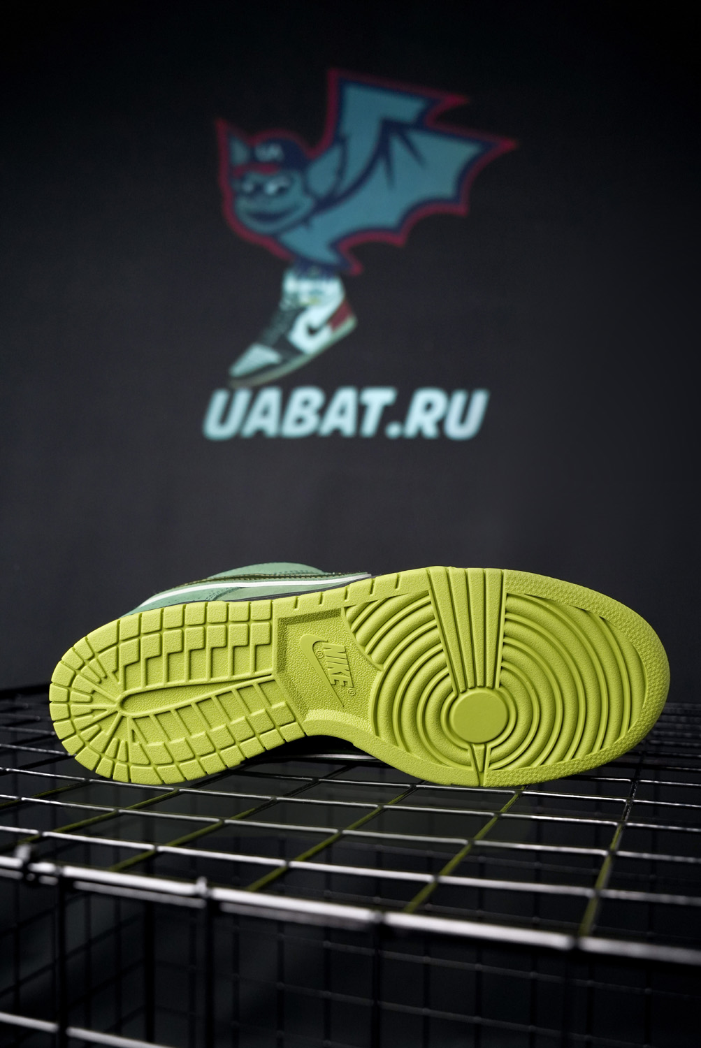 CONCEPTS X DUNK LOW SB