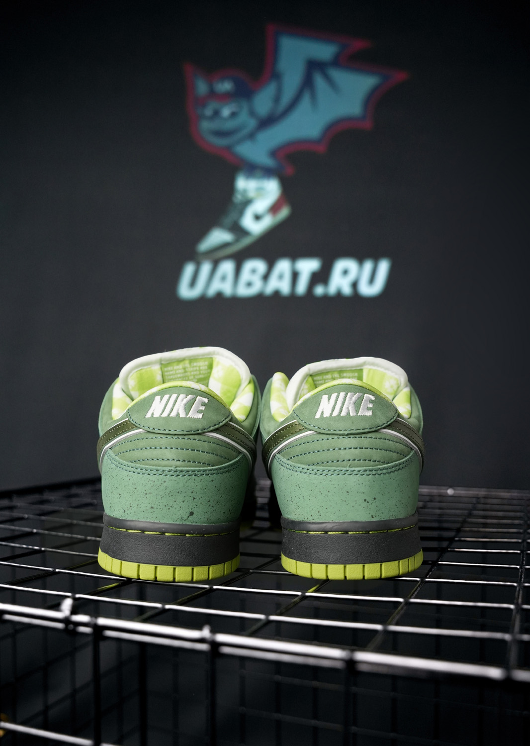 CONCEPTS X DUNK LOW SB