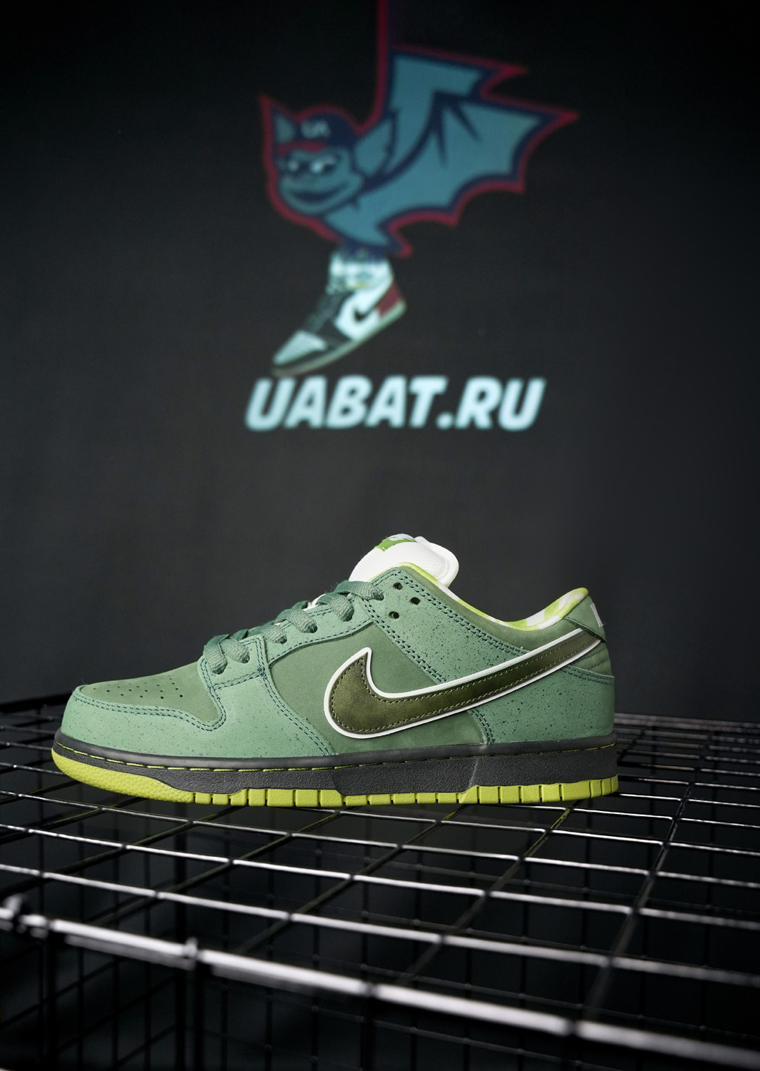 CONCEPTS X DUNK LOW SB