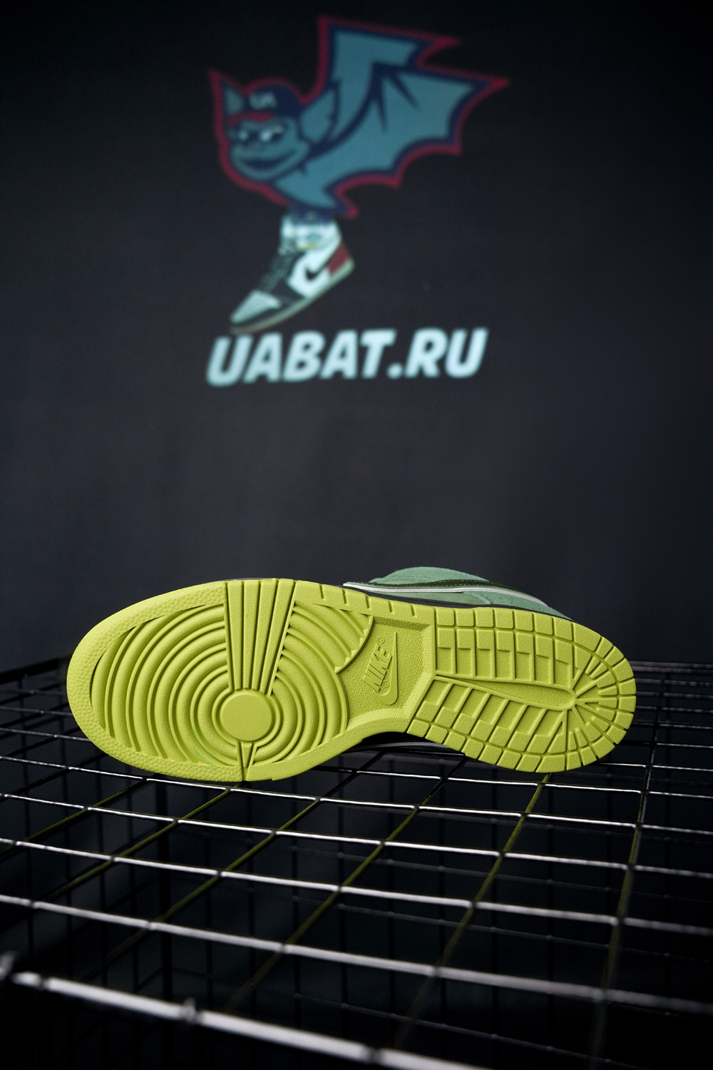 CONCEPTS X DUNK LOW SB