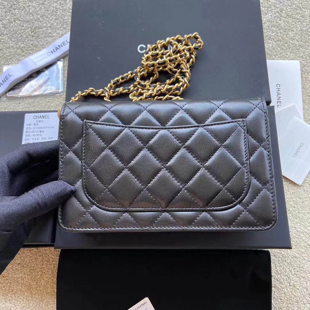 Ch*el bags bags ap1450 19*13*4cm