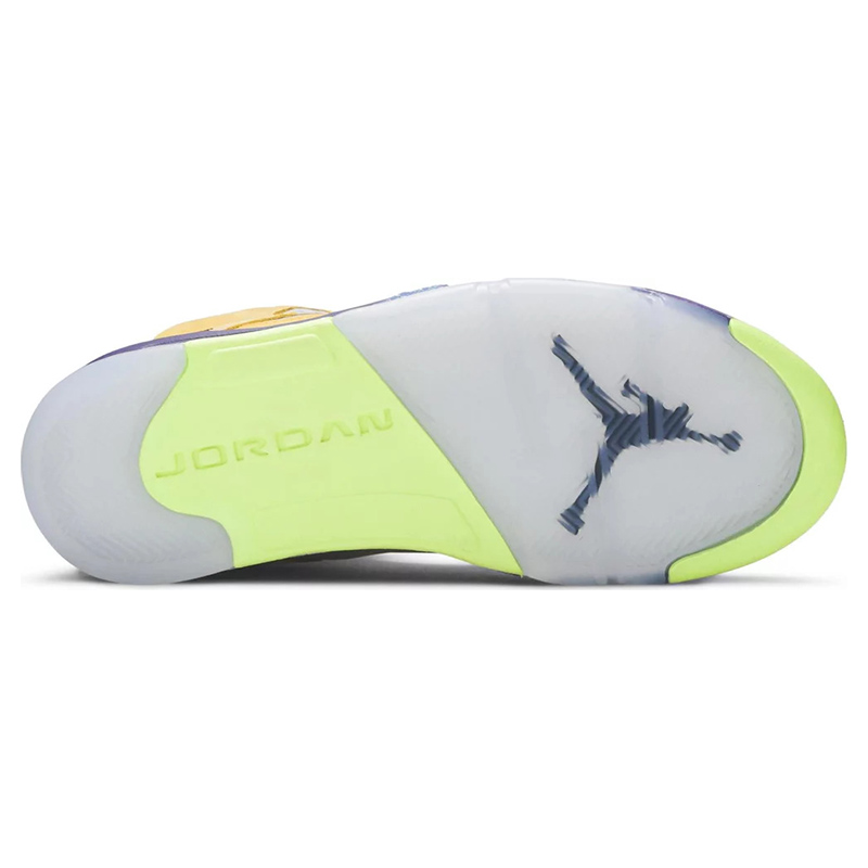 AIR JORDAN 5 RETRO SE 
