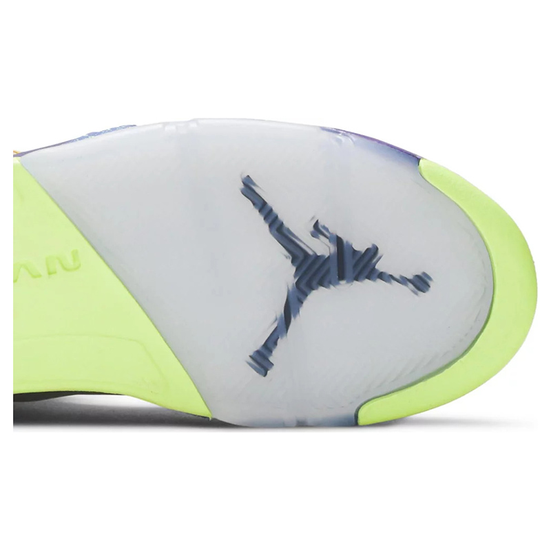 AIR JORDAN 5 RETRO SE 