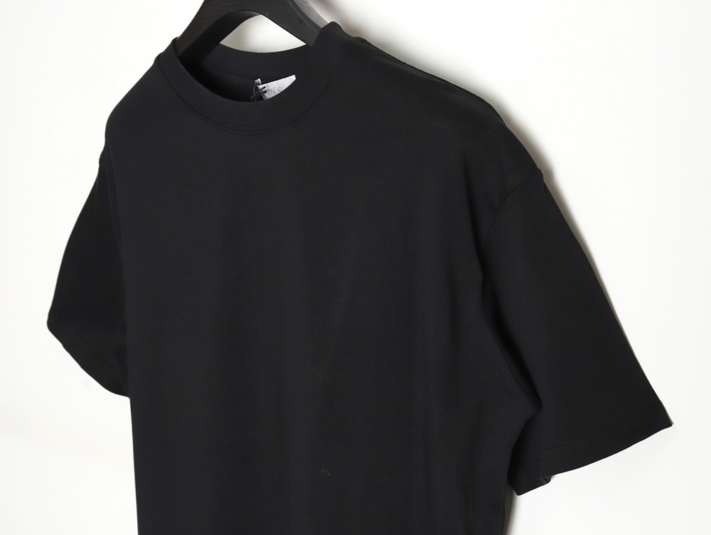 D*or 24ss back printed short sleeves tsk1