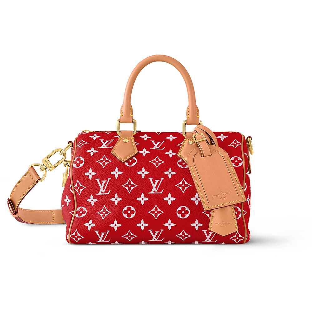 l0*is V*t0n bags m24425 25*15*15cm