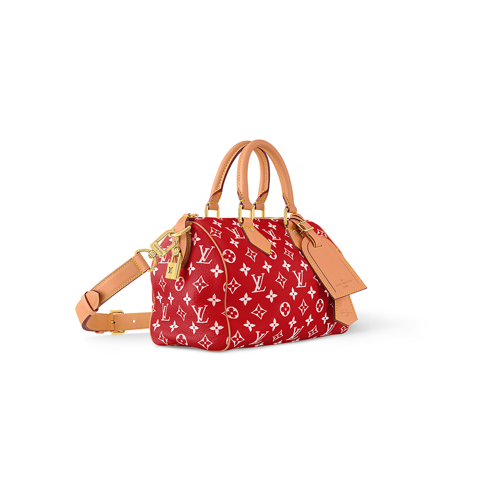 l0*is V*t0n bags m24425 25*15*15cm