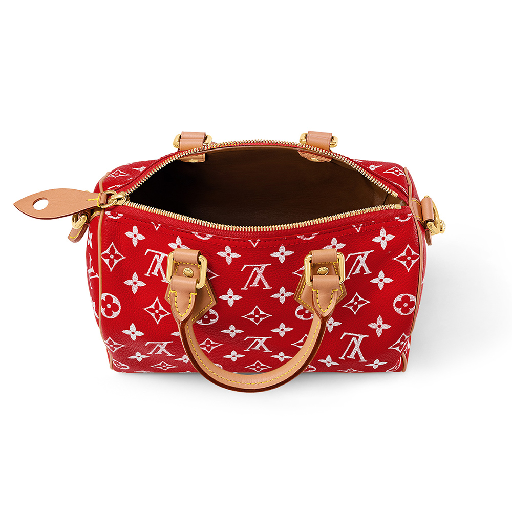 l0*is V*t0n bags m24425 25*15*15cm