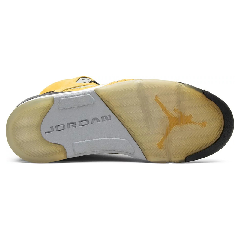 Air Jordan 5 Retro T23