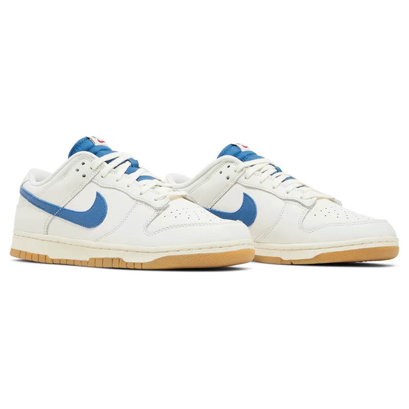 Dunk Low SE
