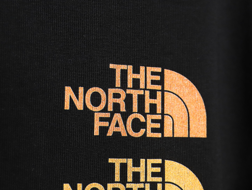 the nor*h F**e co-branded multi-logo digital print short-sleeve tsk2