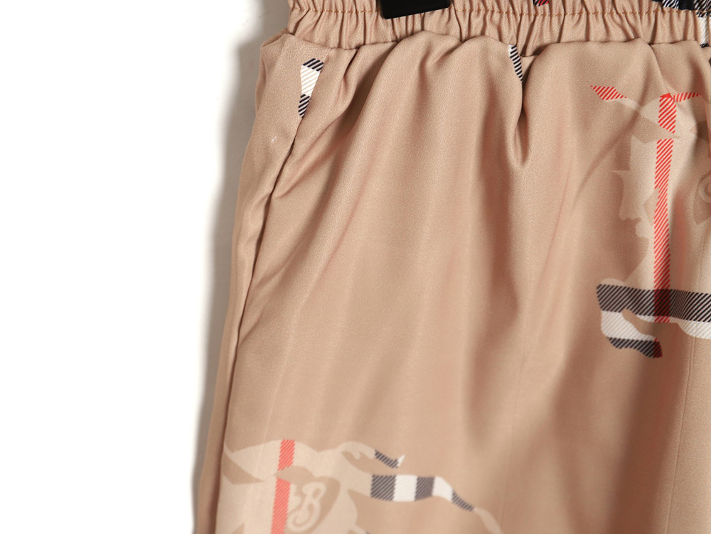 B**rry 24ss check horse beach shorts