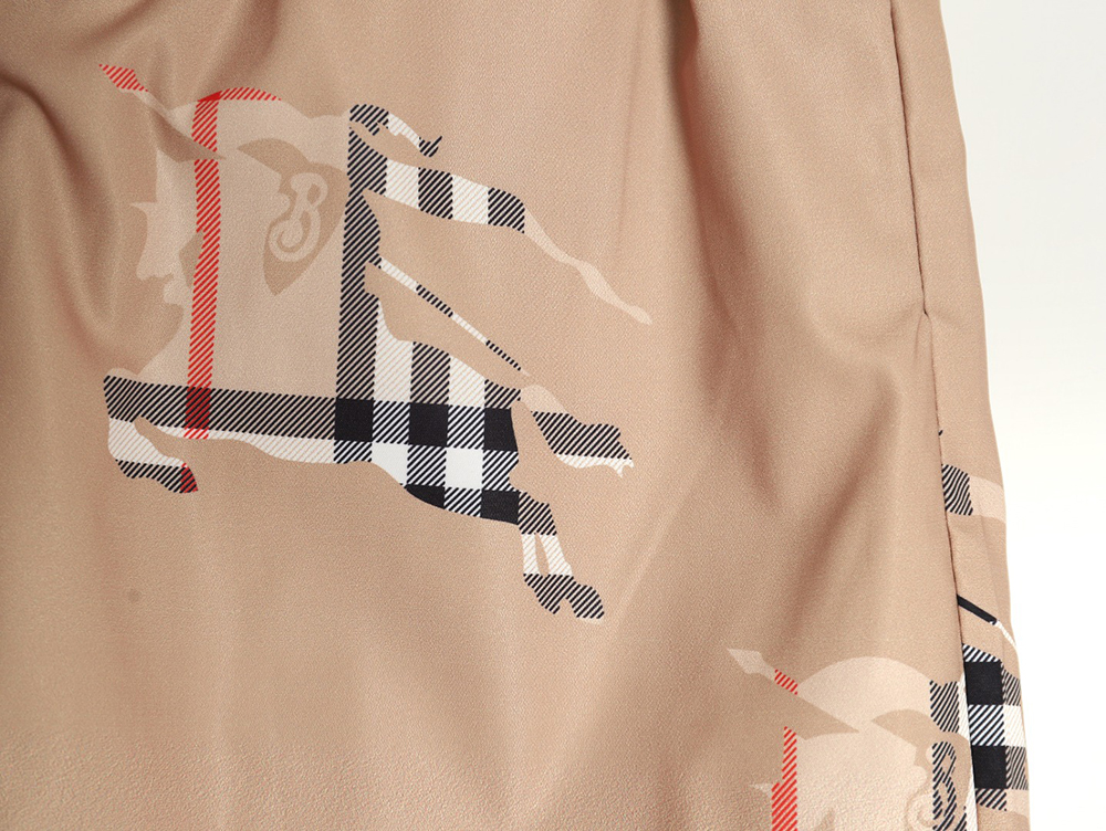 B**rry 24ss check horse beach shorts