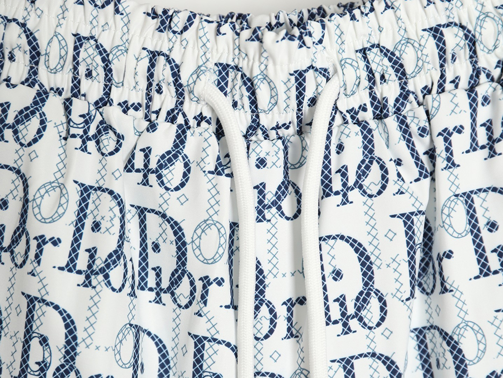 D*or 24ss all-over lettering beach shorts tsk1