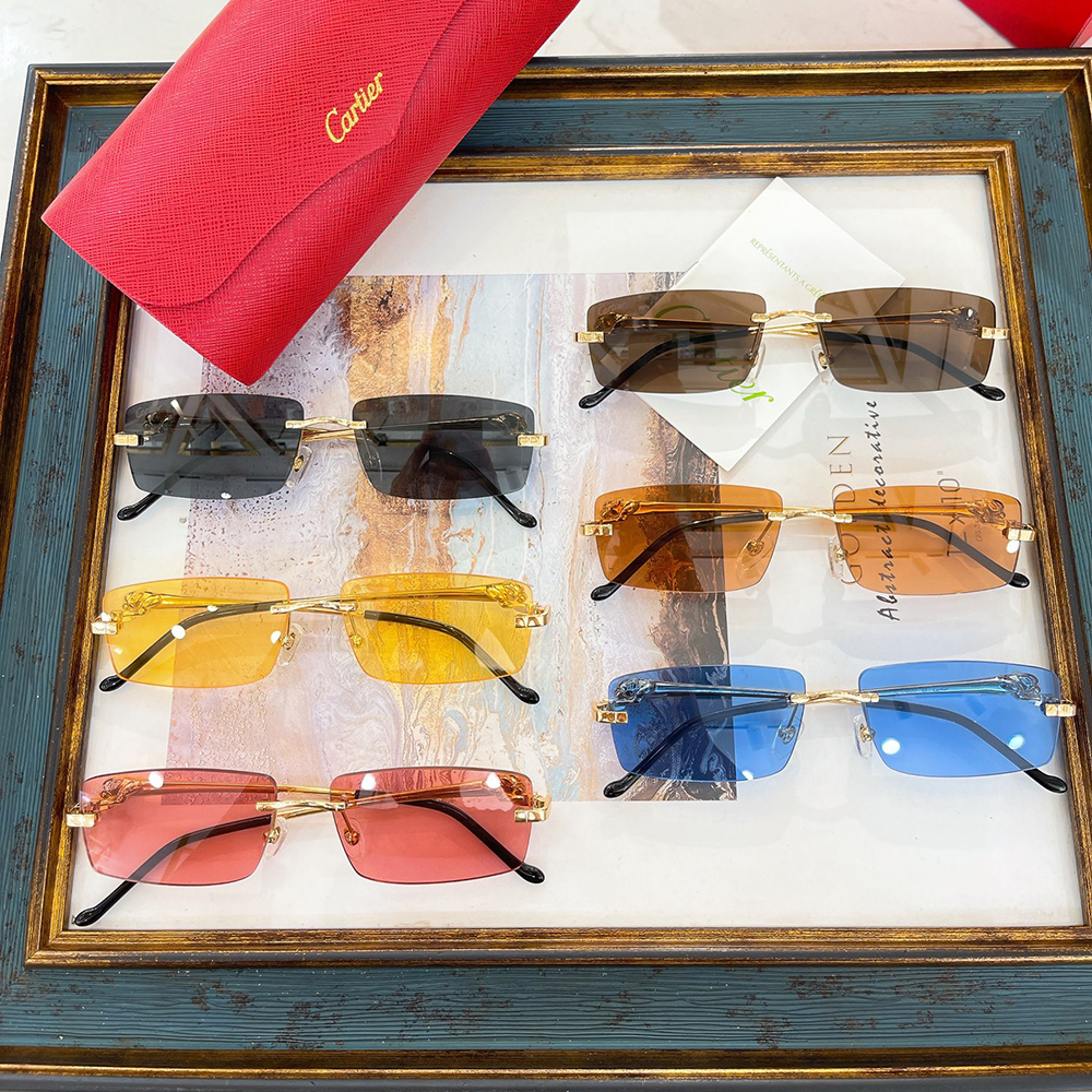 Ca*t*er eyeglasses ct0430s