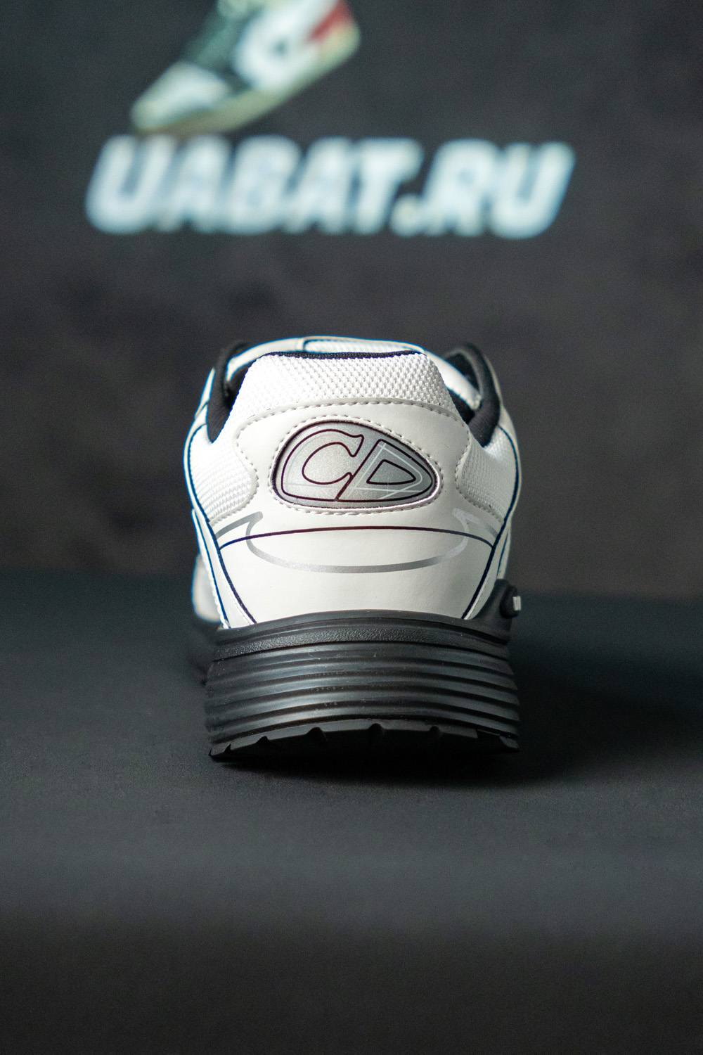 ch**an D*or b30 sneaker