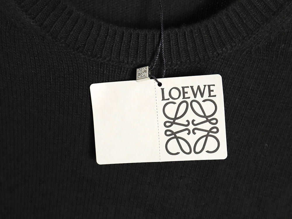 L0ew* embroidered logo crew neck sweater tsk1