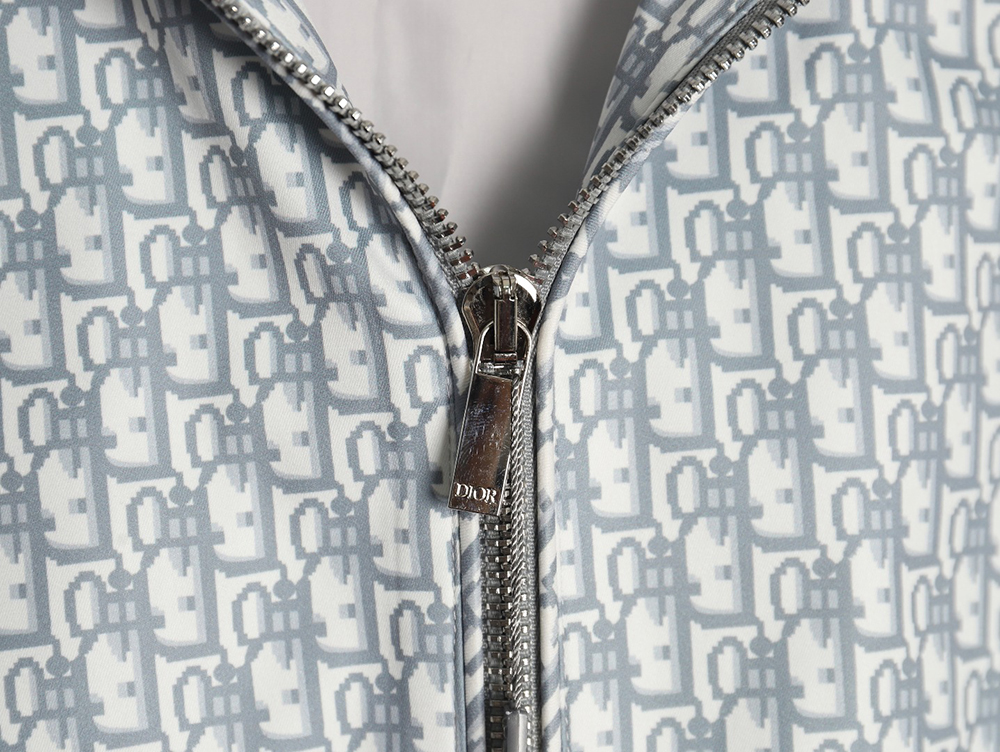 D*or all over print presbyopia hooded jacket