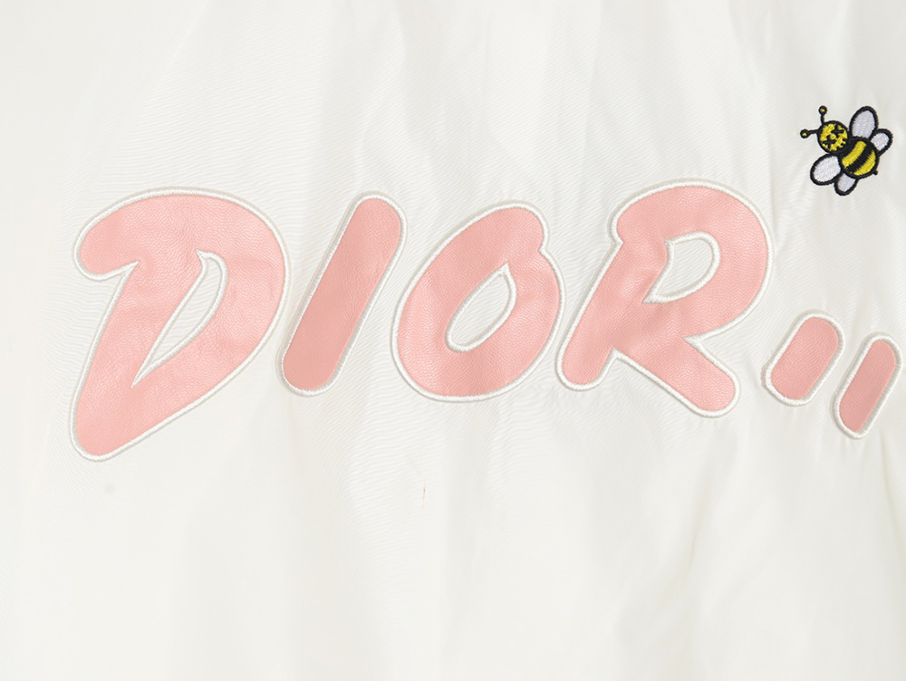 D*or embroidered letters small wasp hooded jacket