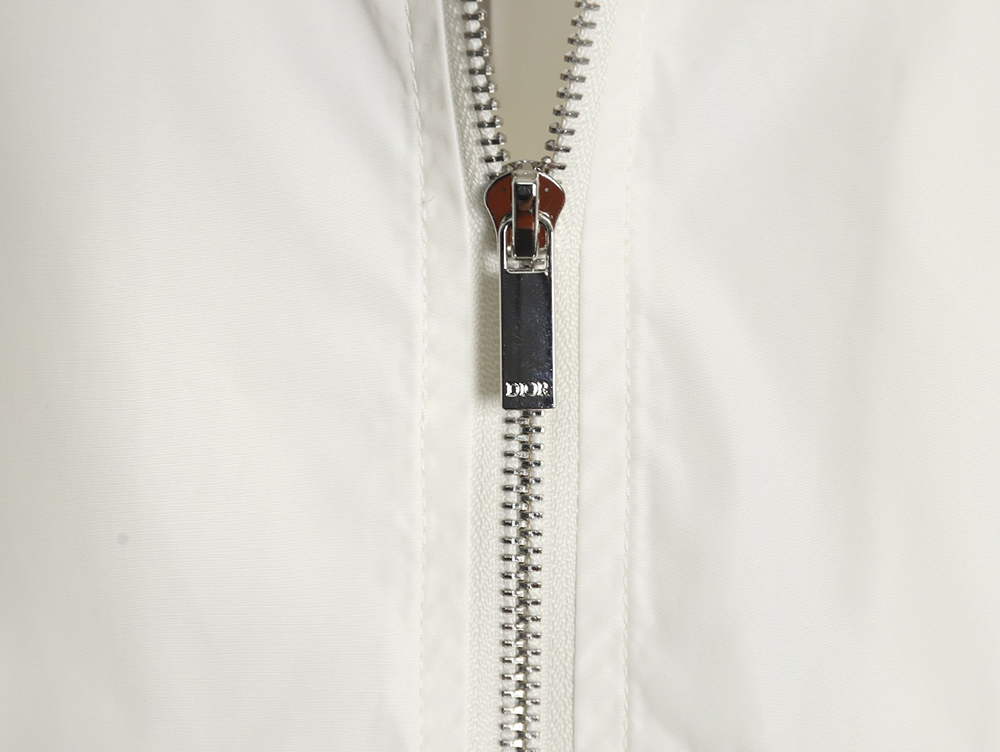 D*or embroidered letters small wasp hooded jacket