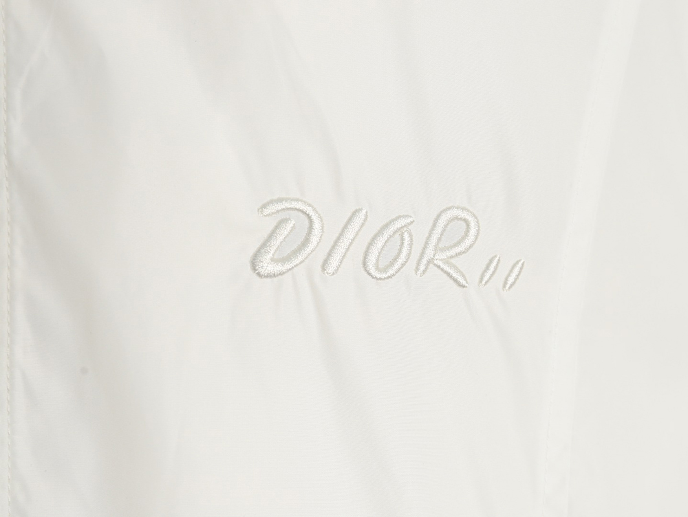 D*or embroidered letters small wasp hooded jacket