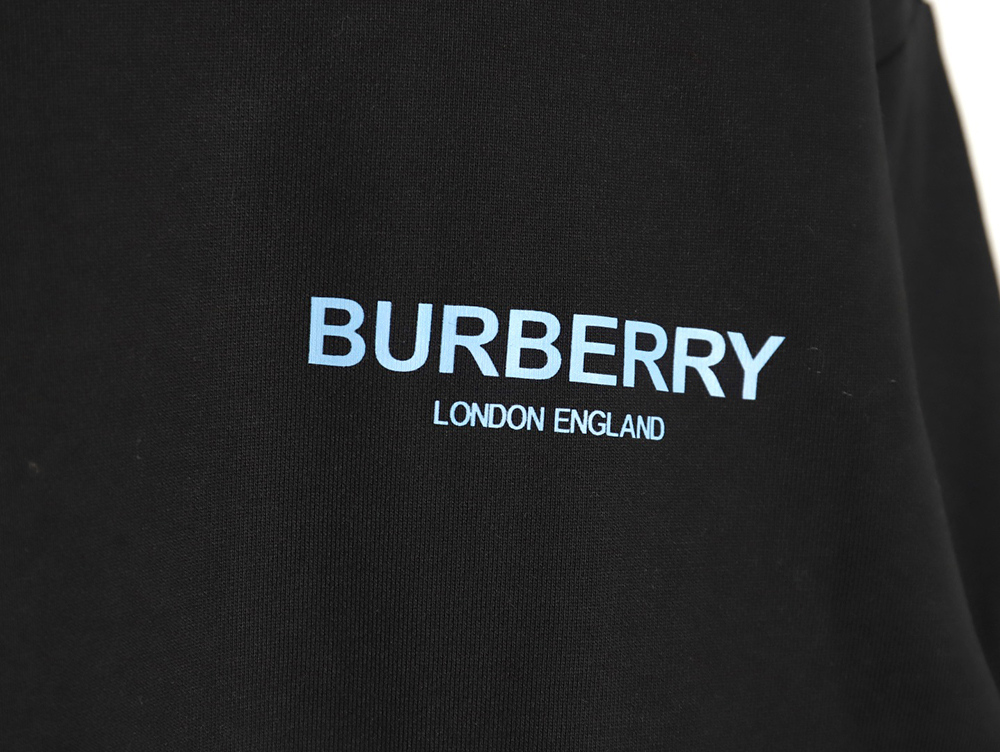 B**rry back blue bear print crew neck sweatshirt tsk1