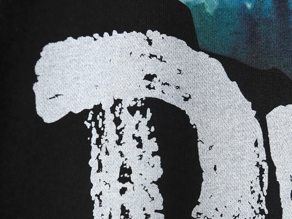 D*or printed crew neck sweatshirt tsk1