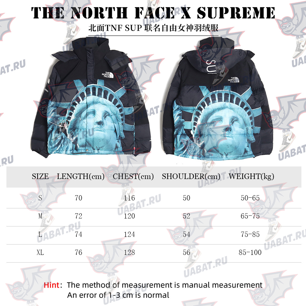the nor*h f**e x S*p*e joint statue of liberty down jacket